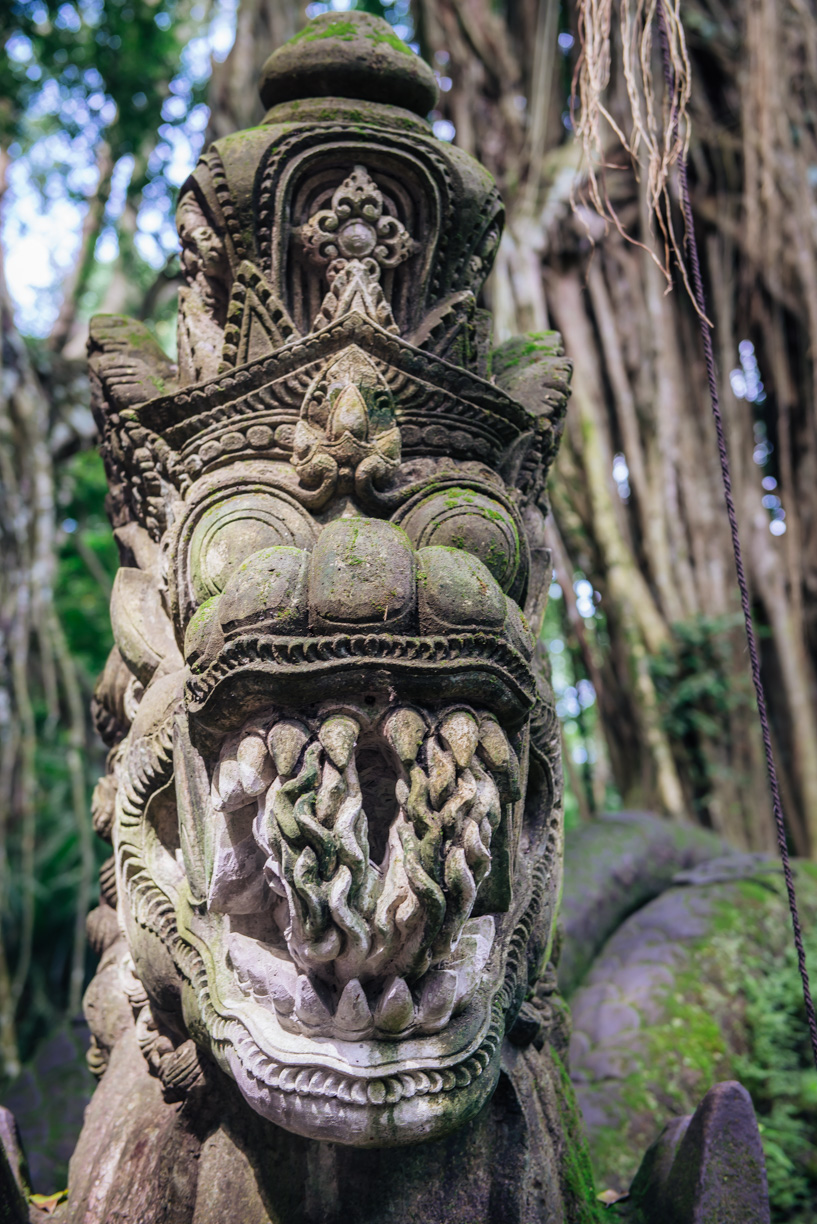 Jahresblog_bali-8